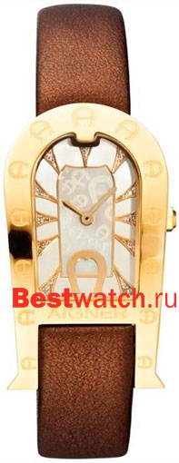 Часы Aigner Olbia A29324