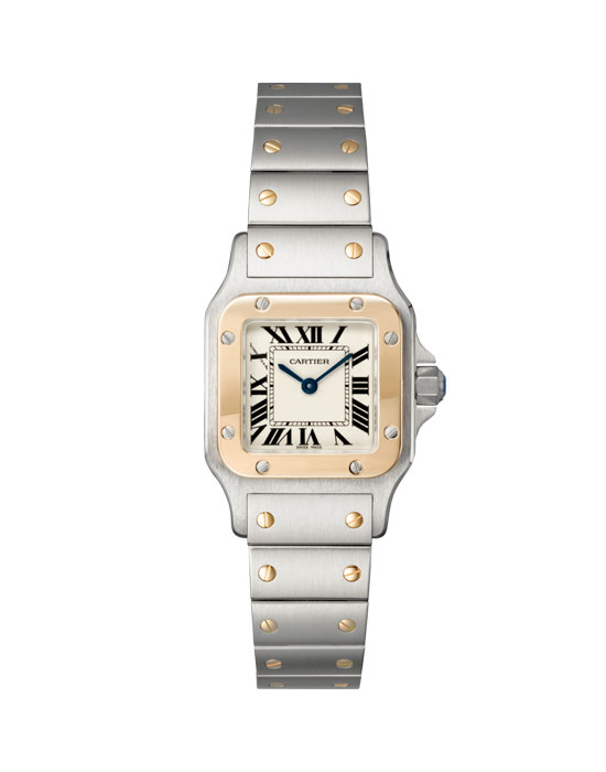 Часы Cartier Santos de Cartier  W20012C4