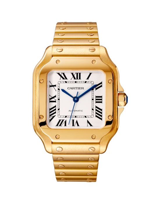 Часы Cartier Santos de Cartier WGSA0010