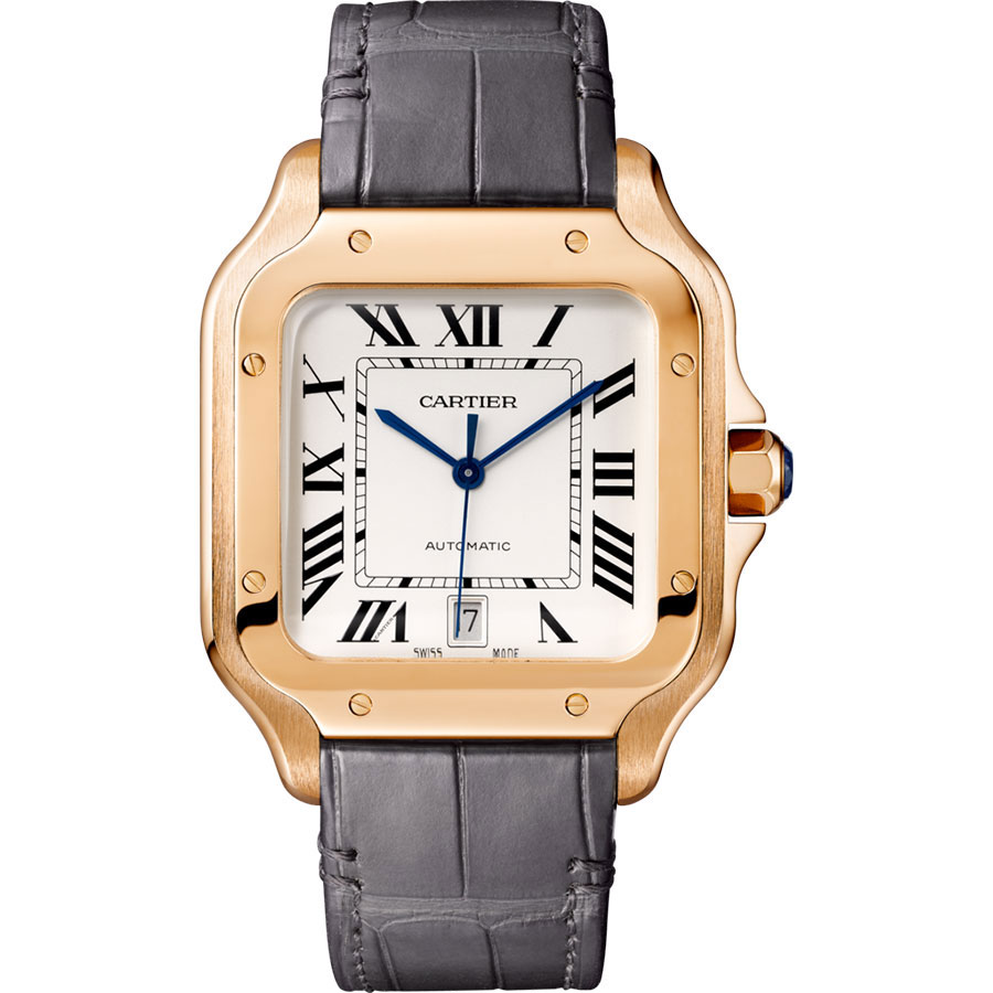 Часы Cartier Santos de Cartier WGSA0011