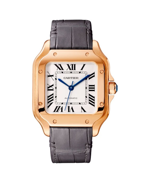 Часы Cartier Santos de Cartier WGSA0012