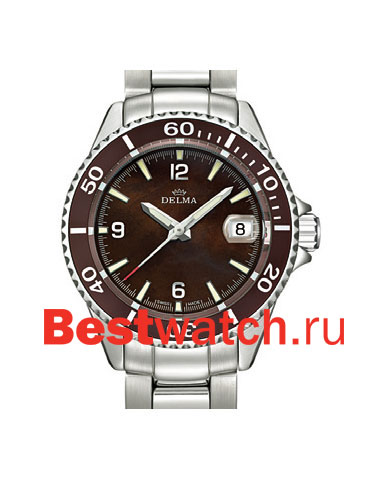 Часы Delma Santiago 41701.547.1.564
