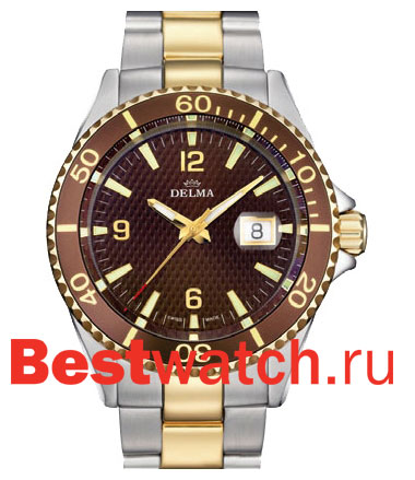 Часы Delma Santiago 41701.564.6.014