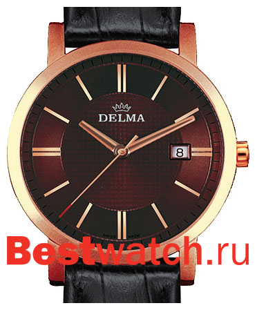 Часы Delma Cordoba 43601.528.6.101