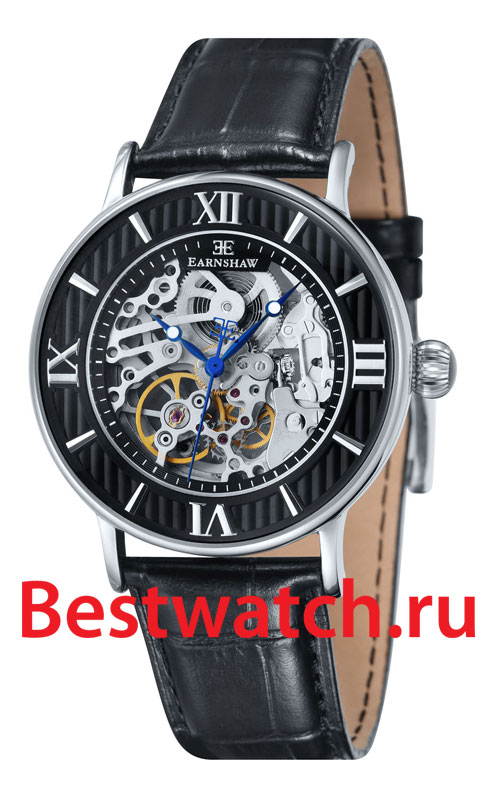 Часы Earnshaw Darwin ES-8038-01