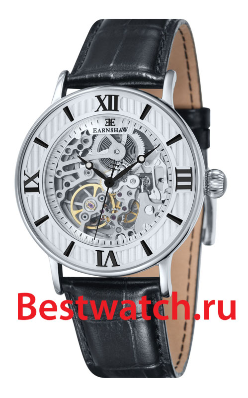 Часы Earnshaw Darwin ES-8038-02