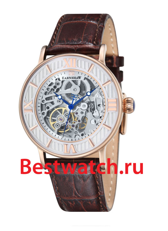 Часы Earnshaw Darwin ES-8038-03
