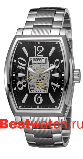 Часы Esprit Asterion EL900191004