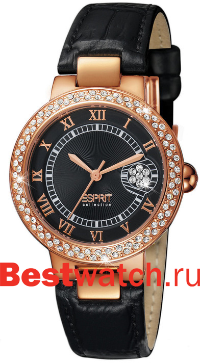 Часы Esprit Ageness EL900352003