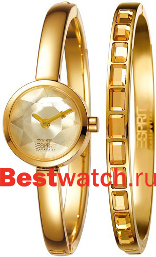 Часы Esprit Diga EL900382001
