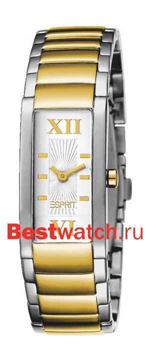 Часы Esprit Houston ES102902001
