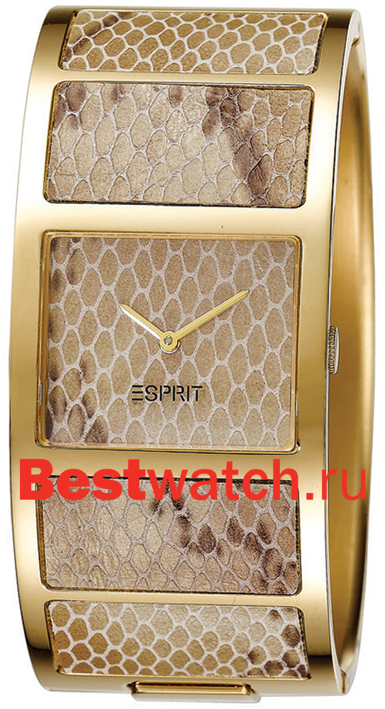 Часы Esprit Trends ES103102003