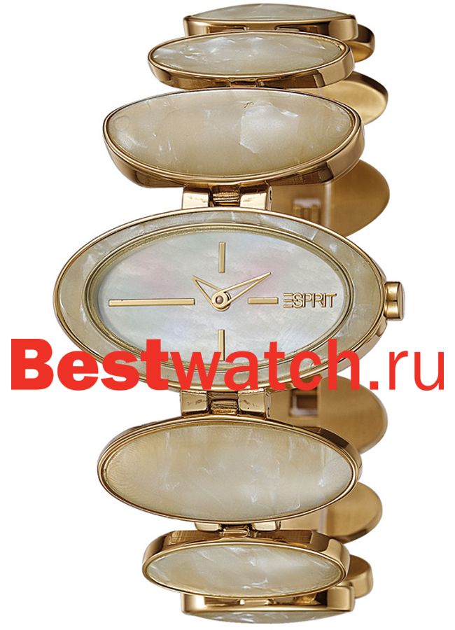 Часы Esprit Overture ES103802003