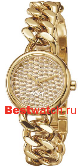 Часы Esprit Overture ES104052004