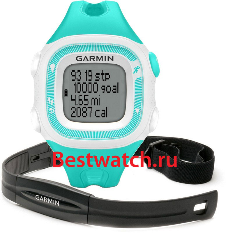 Часы Garmin Forerunner 15 010-01241-71