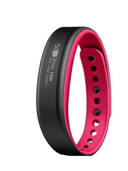 Часы Garmin Vivosmart 010-01317-13