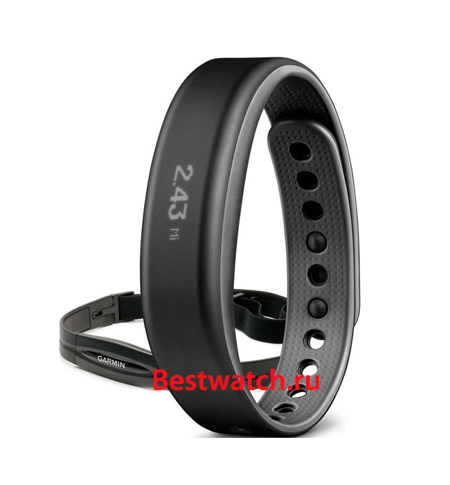 Часы Garmin Vivosmart 010-01317-45