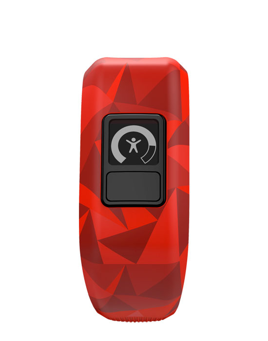 Часы Garmin Vivofit JR 010-01634-20