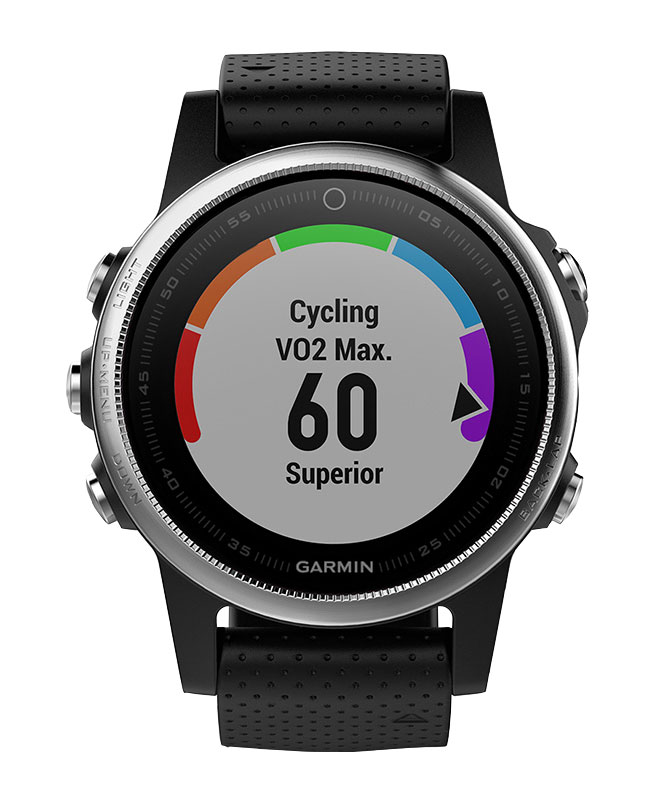Часы Garmin Fenix 5S 010-01685-02