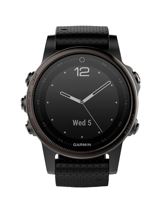 Часы Garmin Fenix 5S 010-01685-11