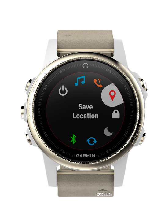 Часы Garmin Fenix 5S 010-01685-13