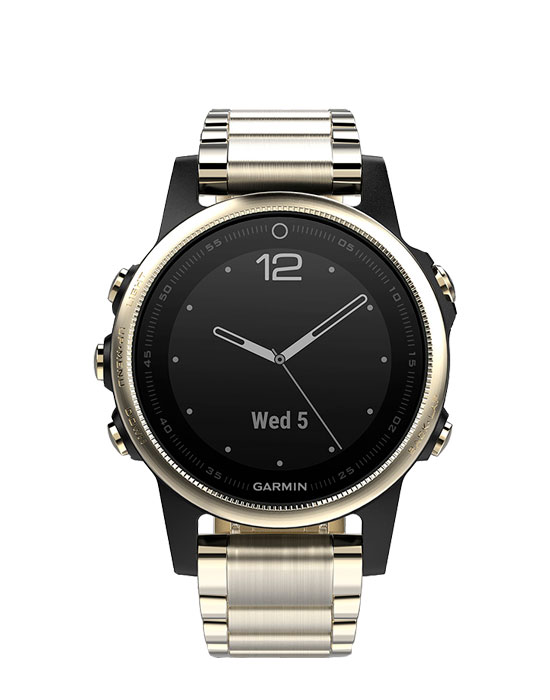 Часы Garmin Fenix 5S 010-01685-15