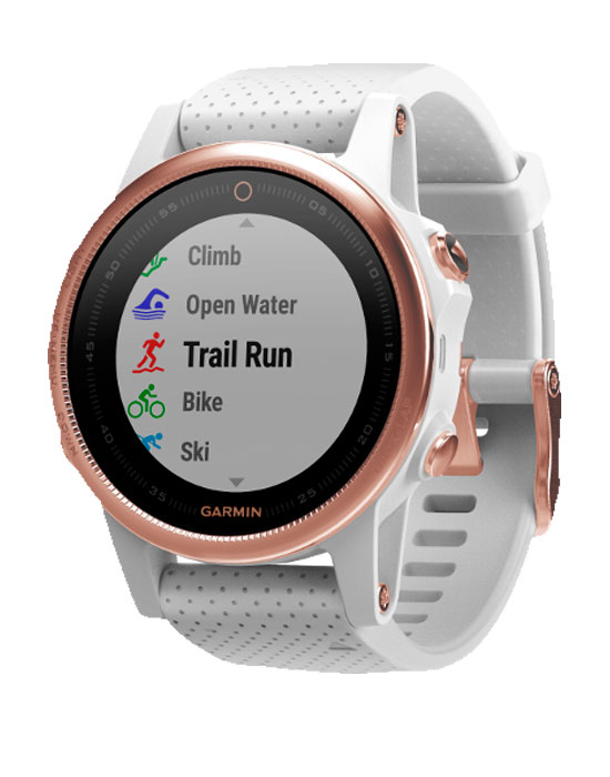Часы Garmin Fenix 5S 010-01685-17