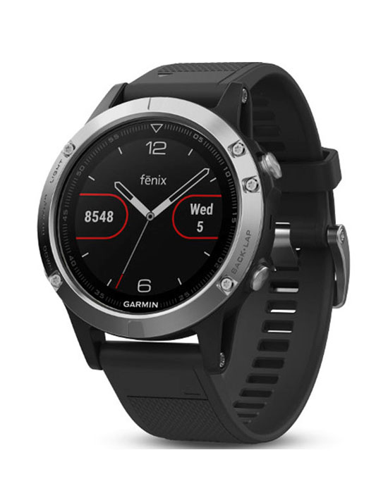 Часы Garmin Fenix 5S 010-01688-03