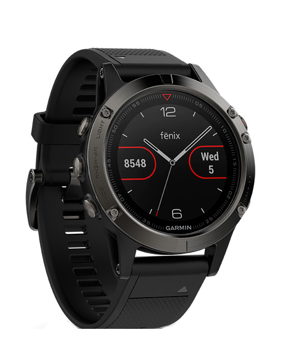 Часы Garmin Fenix 5S 010-01688-11