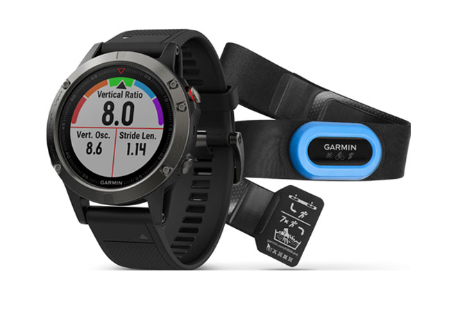 Часы Garmin Fenix 5S 010-01688-32