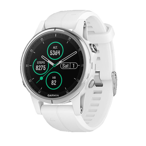Часы Garmin Fenix 5S 010-01987-01