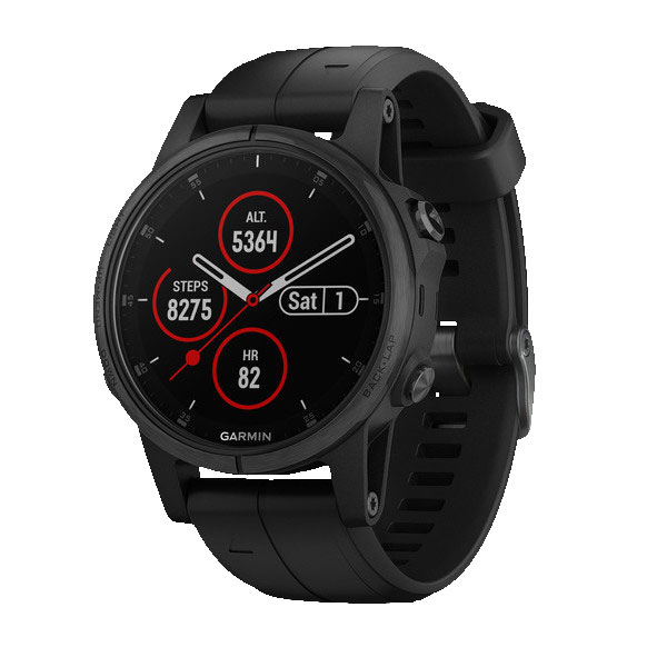 Часы Garmin Fenix 5S 010-01987-03