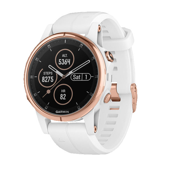 Часы Garmin Fenix 5S 010-01987-07