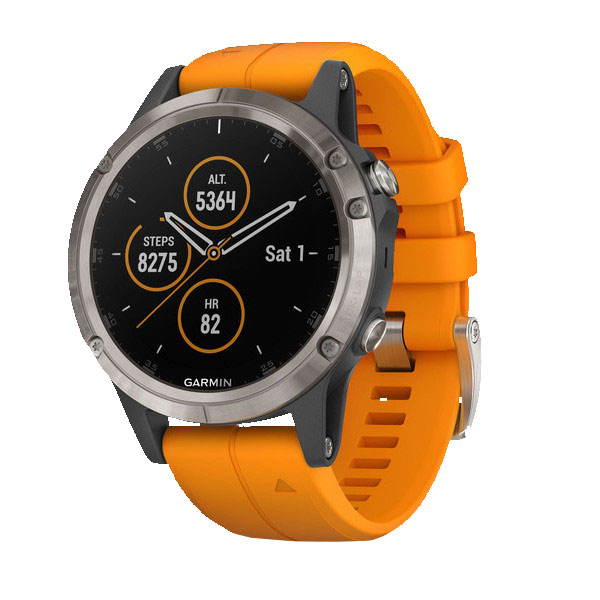 Часы Garmin Fenix 5S 010-01988-05
