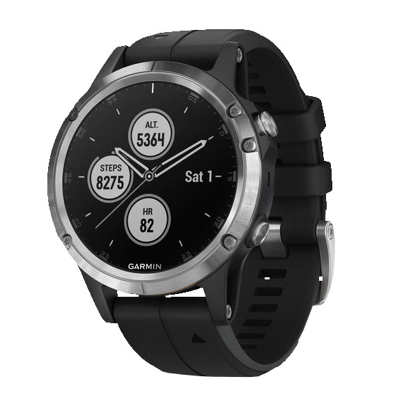 Часы Garmin Fenix 5S 010-01988-11
