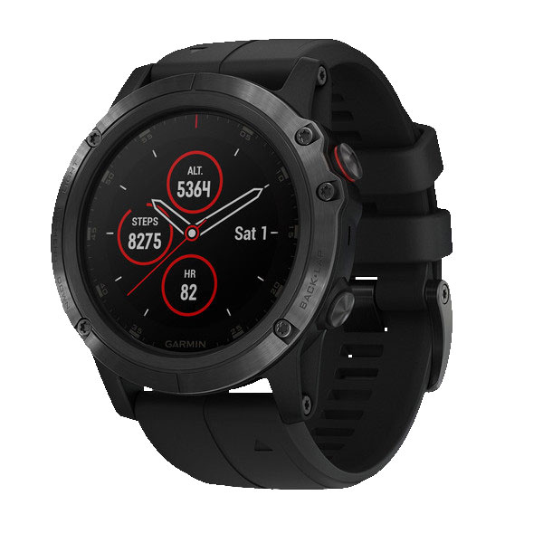 Часы Garmin Fenix 5S 010-01989-01