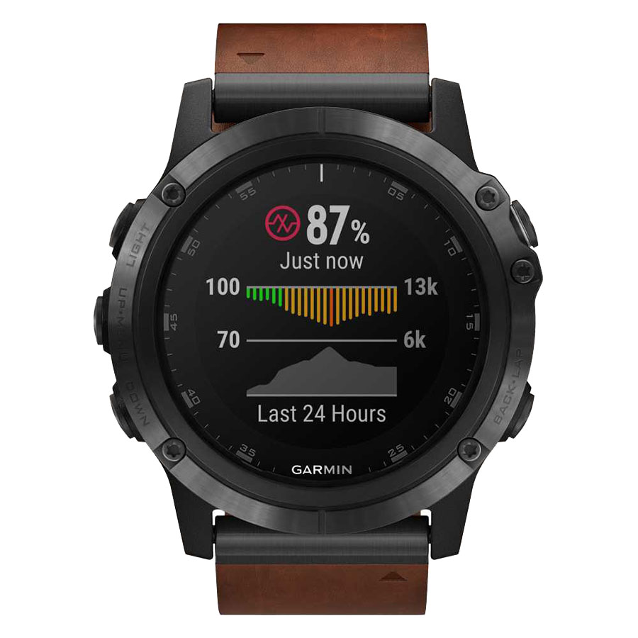 Часы Garmin Fenix 5S 010-01989-03