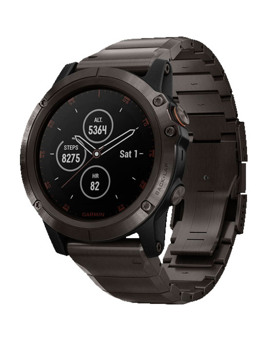 Часы Garmin Fenix 5S 010-01989-05