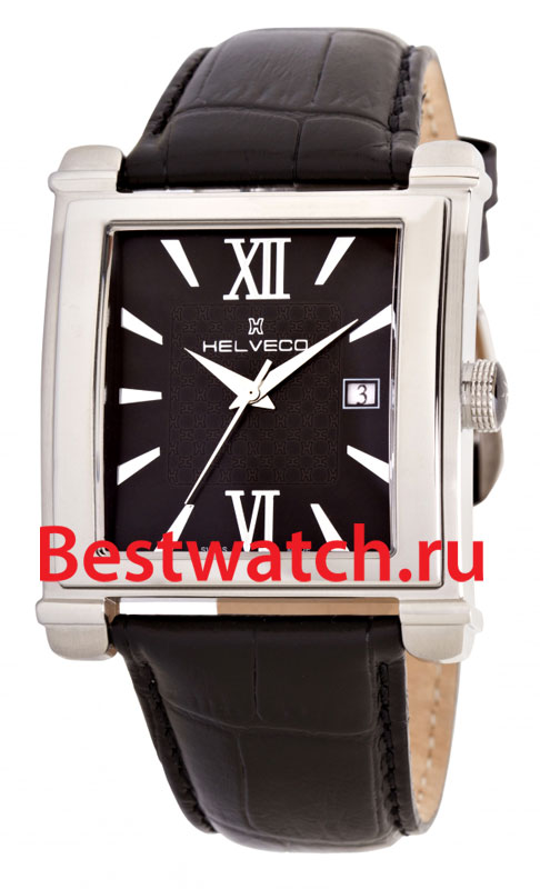 Часы Helveco Delemont H26641NR