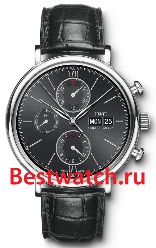 Часы IWC PORTOFINO IW391008