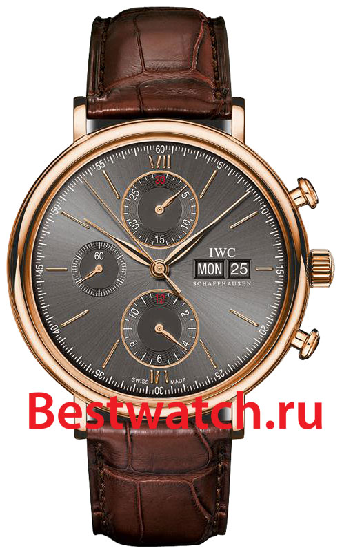 Часы IWC PORTOFINO IW391021