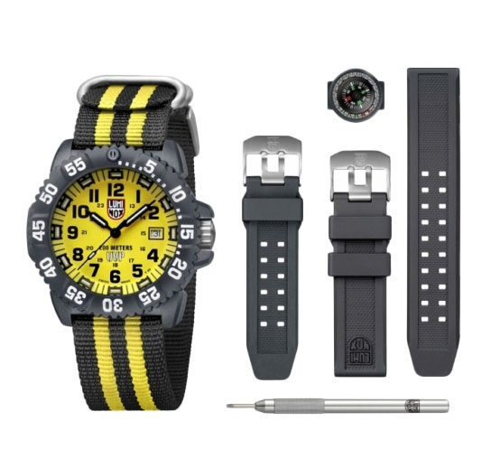 Часы Luminox Sea A.3955.SET