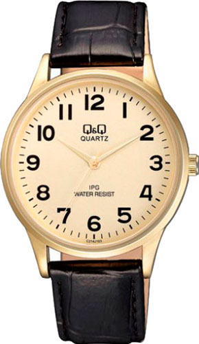 Часы Q&Q IP Series C214J103