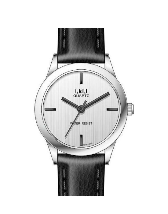 Часы Q&Q Кварцевые GP53J800