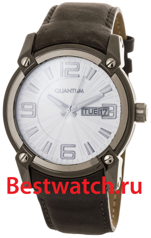 Часы Quantum Powertech PWG256LGS-01NN