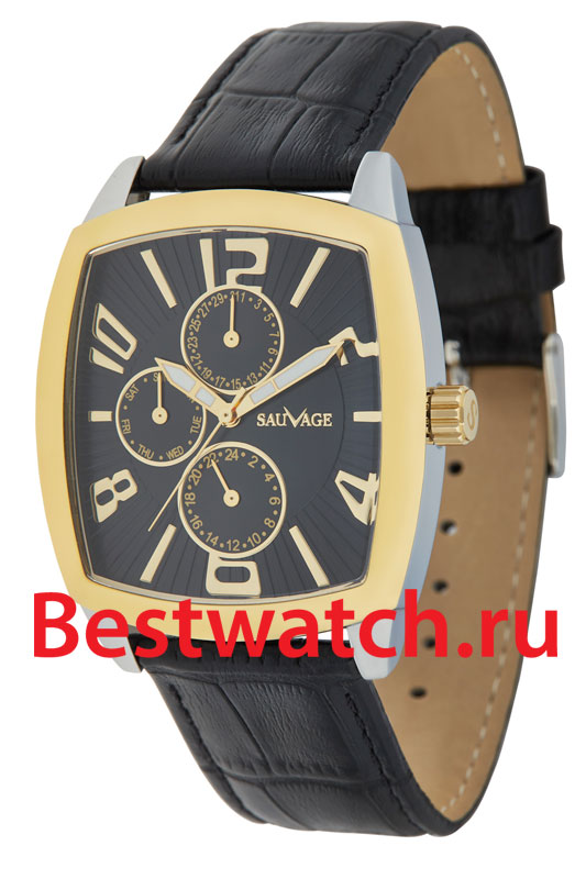 Часы Sauvage Energy SV11292GS