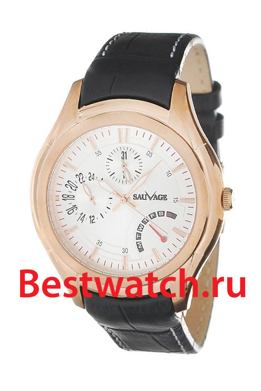 Часы Sauvage Energy SV18204RG