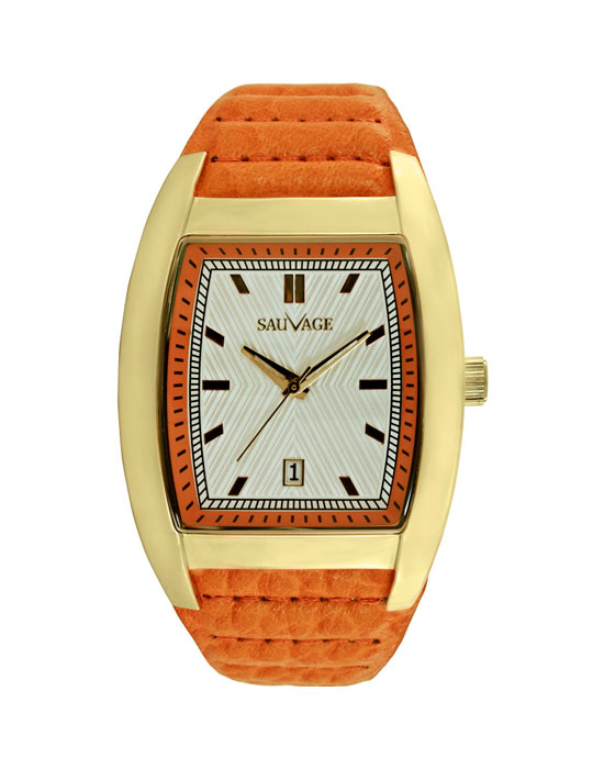 Часы Sauvage Energy SV19161G