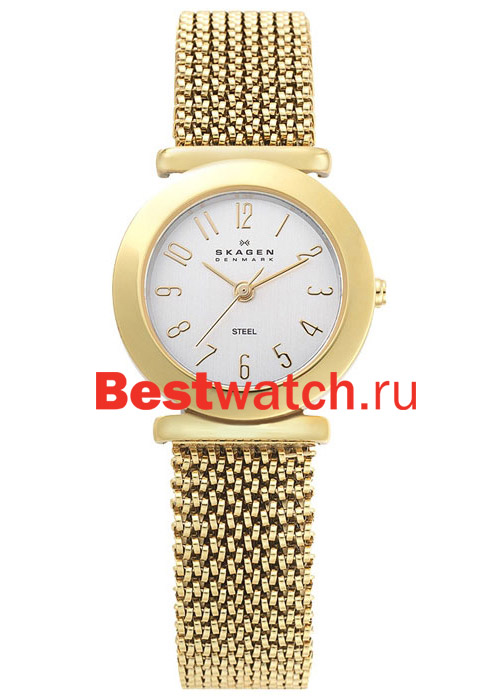 Часы Skagen Mesh 107SGG1