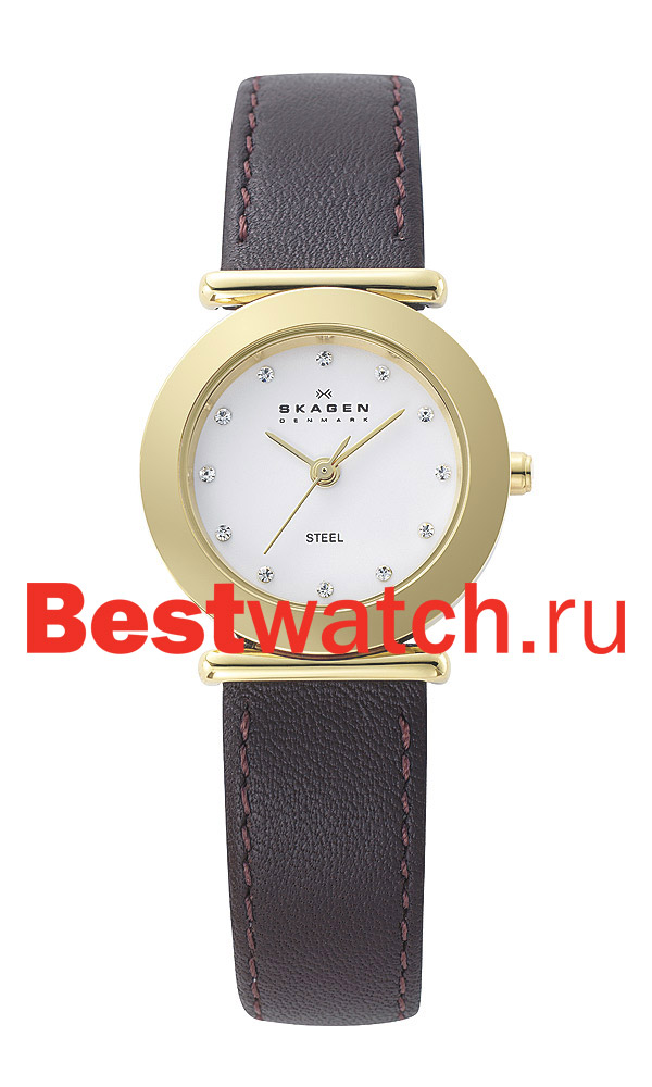 Часы Skagen Leather 107SGLD